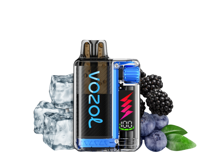 Vozol Vista Plug 10000 Starter Kid | Blue Razz Ice
