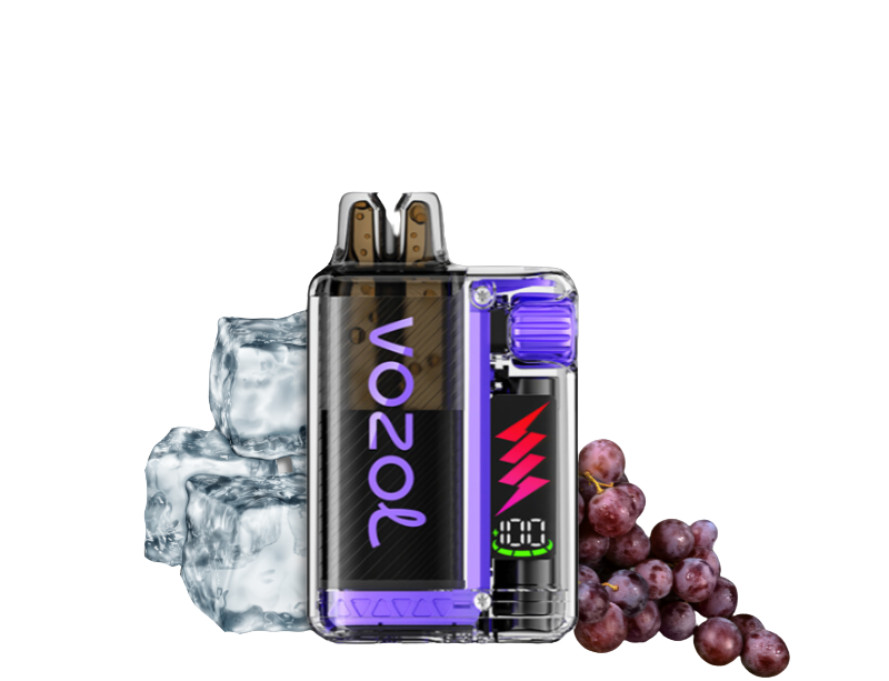 Vozol Vista Plug 10000 Starter Kid | Grape Ice