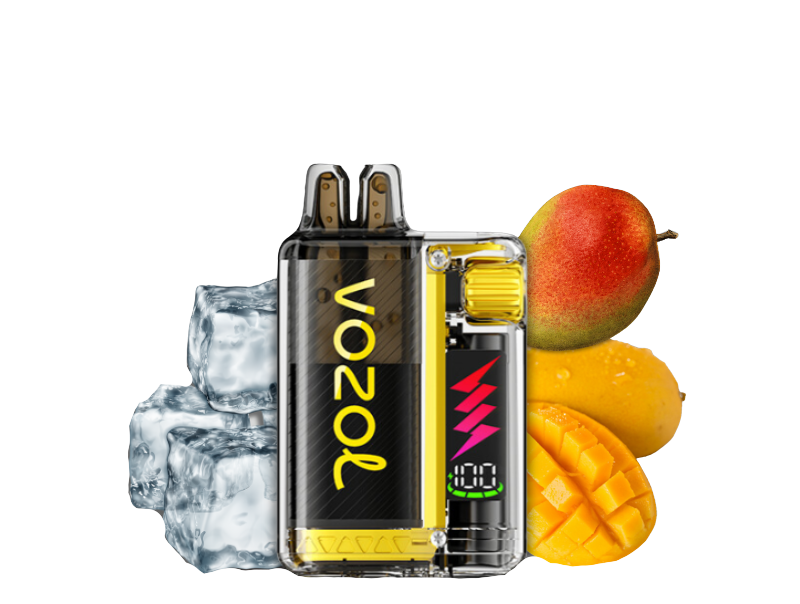 Vozol Vista Plug 10000 Starter Kid | Mango Ice