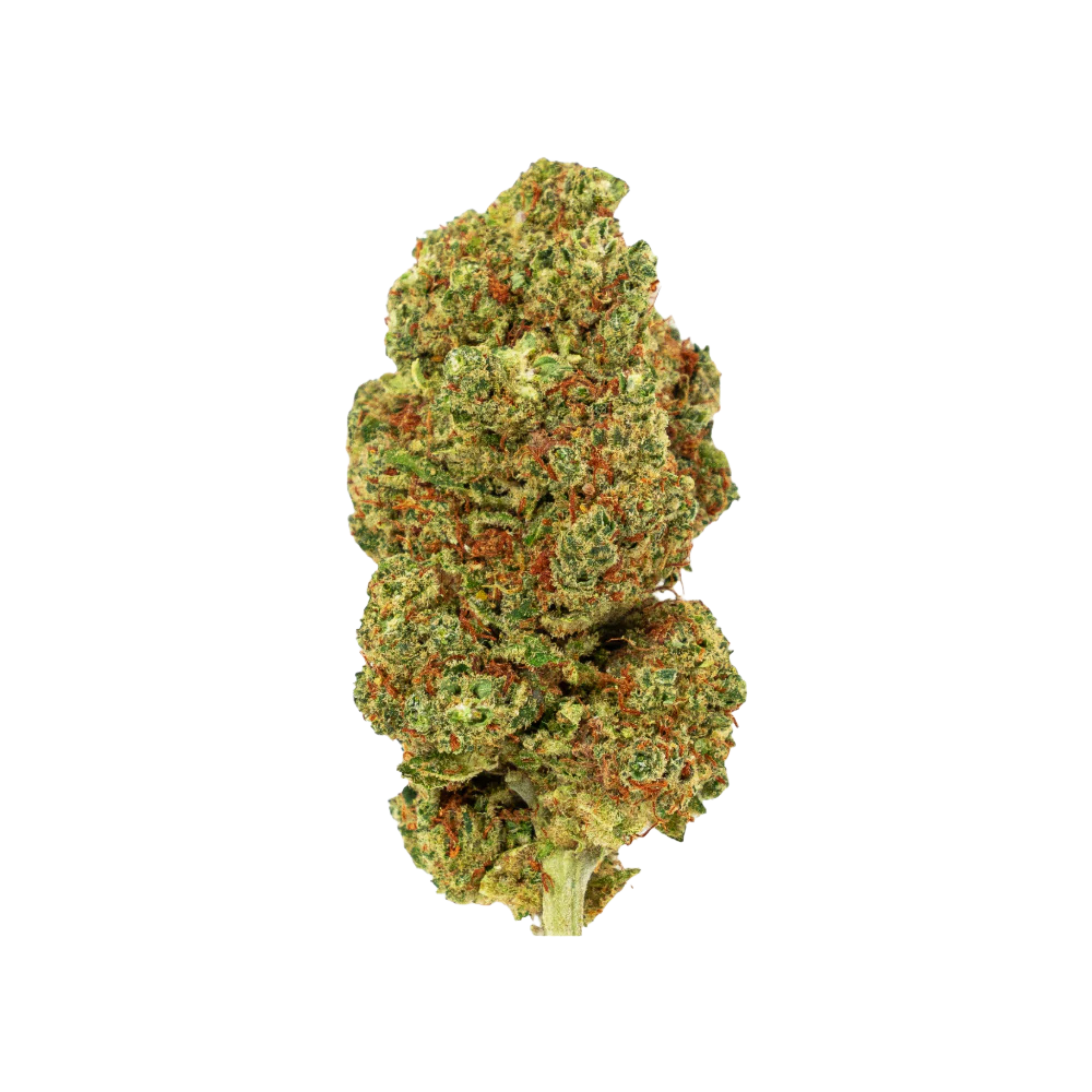 3g Tangie Greenhouse | CBD