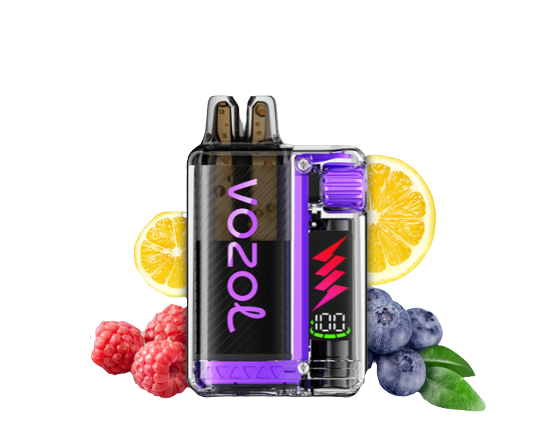 Vozol Vista Plug 10000 Starter Kid | Blueberry Raspberry Lemon