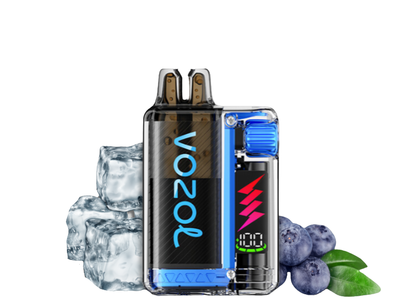 Vozol Vista Plug 10000 Starter Kid | Blueberry Ice