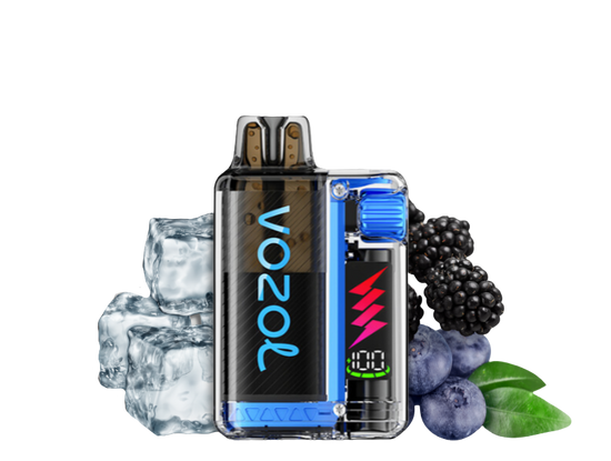 Vozol Vista Plug 10000 Starter Kid | Blue Razz Ice