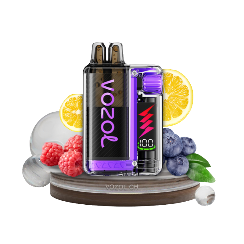 Vozol Vista Plug 10000 Starter Kid | Blueberry Sour Raspberry