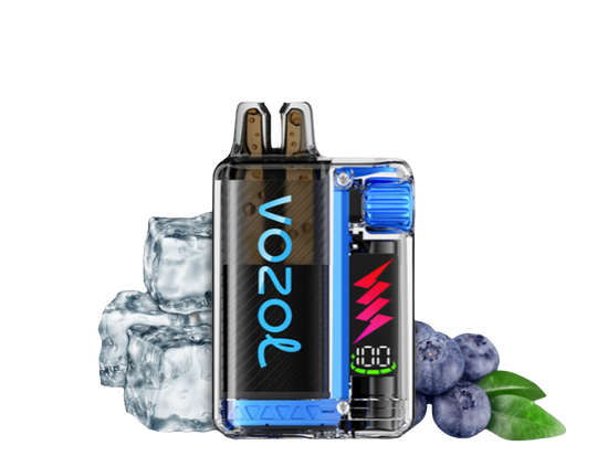 Vozol Vista Plug 10000 Starter Kid | Blueberry Ice